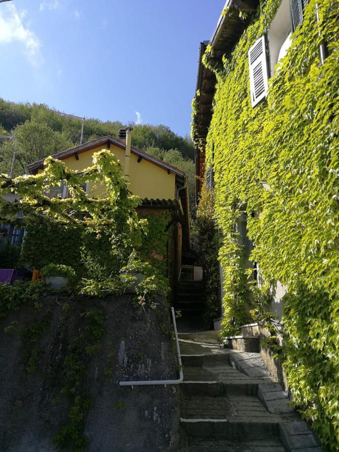Casale Maria Mafalda Pieve di Teco Exteriér fotografie